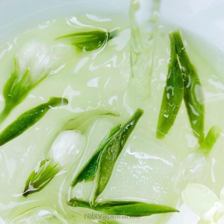 RELX France - RELX pod pro - 2 dosettes 0L2J11 thé longjing au jasmin