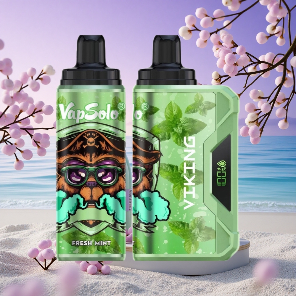 VapSolo VIKING 12000 Puffs VapSolo VIKING Menthe Fraîche 22ml & Nicotine 20mg/ml