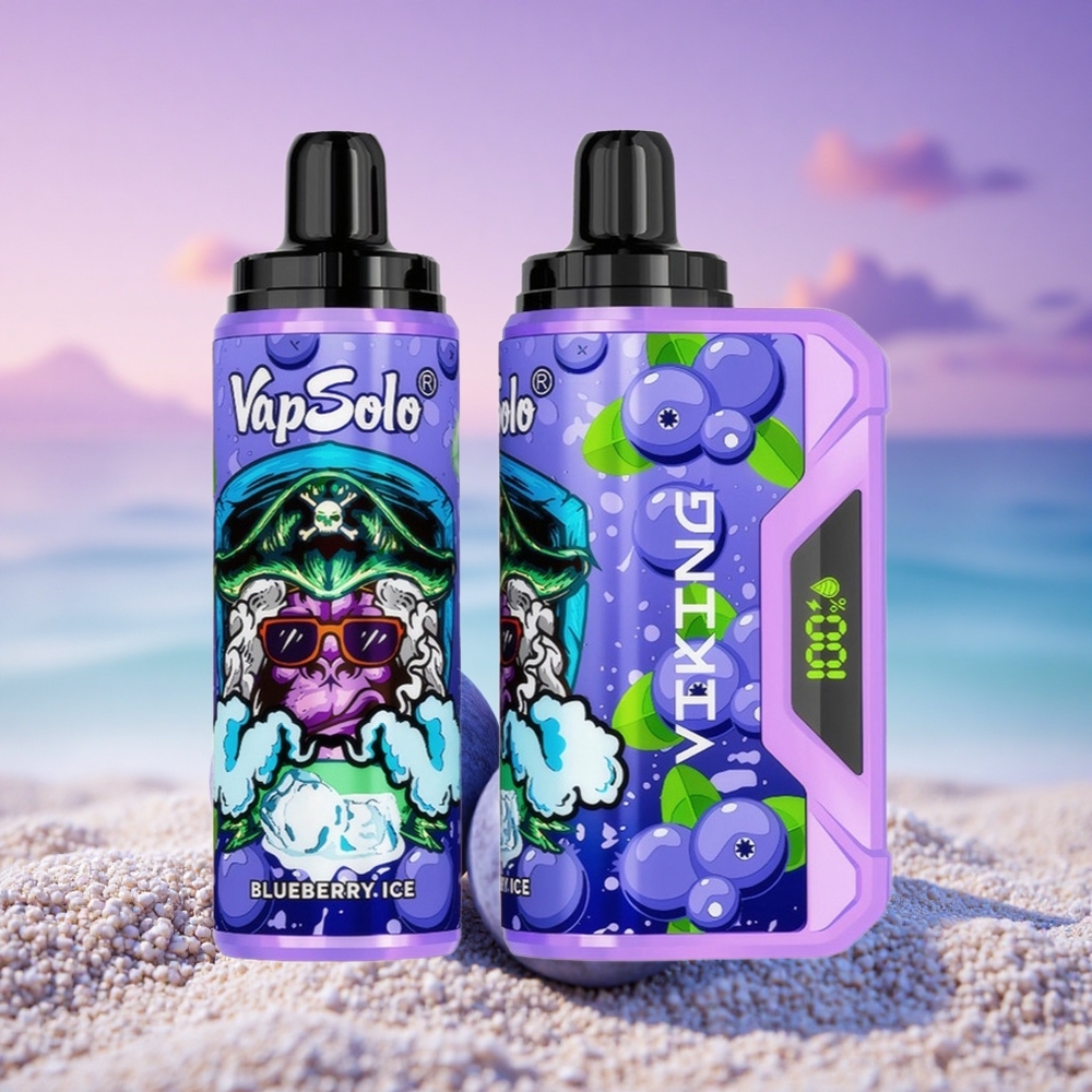 VapSolo VIKING 12000 Puffs VapSolo VIKING Myrtille 22ml Nicotine 20/50mg Type-C LED